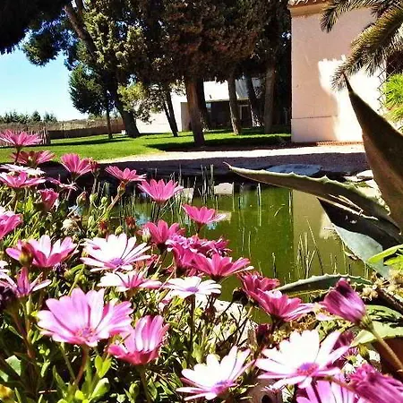 Hotel&spa La Salve Torrijos